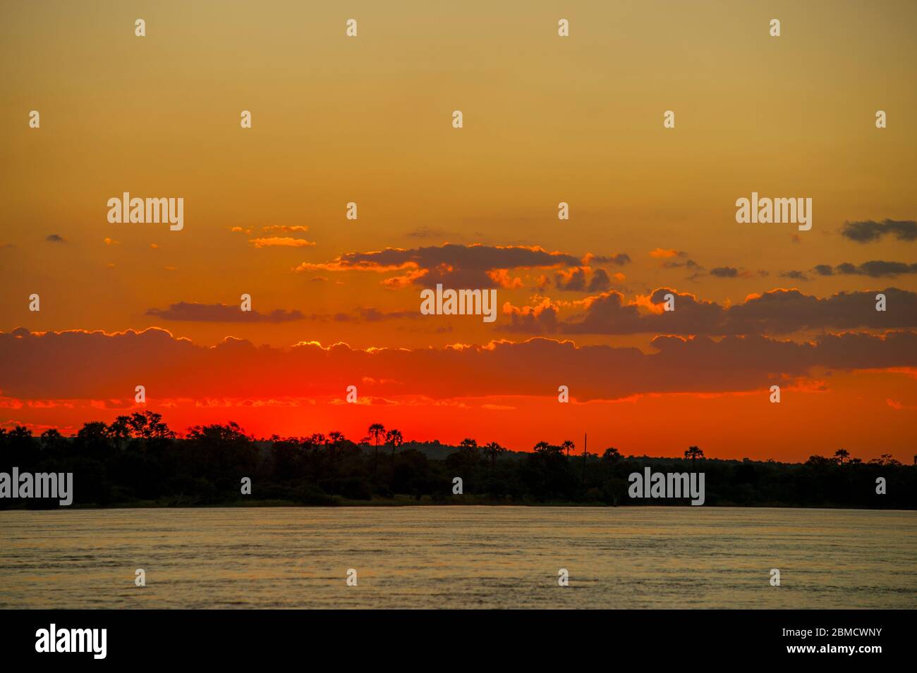 Coucher de soleil sur la rivière Zambèze près de Livingston en Zambie. Banque D'Images