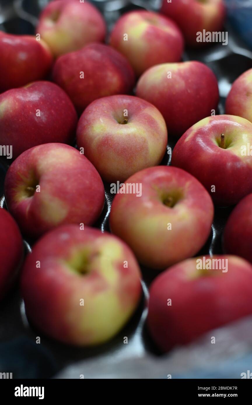 Vue des pommes rouges placées sur un plateau d'emballage Banque D'Images