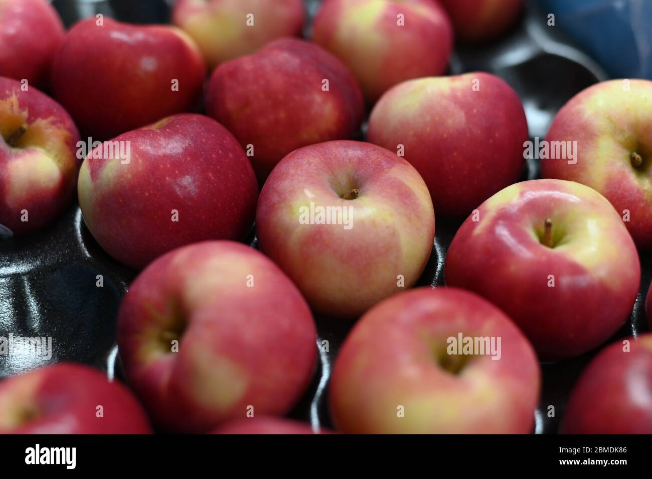 Vue des pommes rouges placées sur un plateau d'emballage Banque D'Images