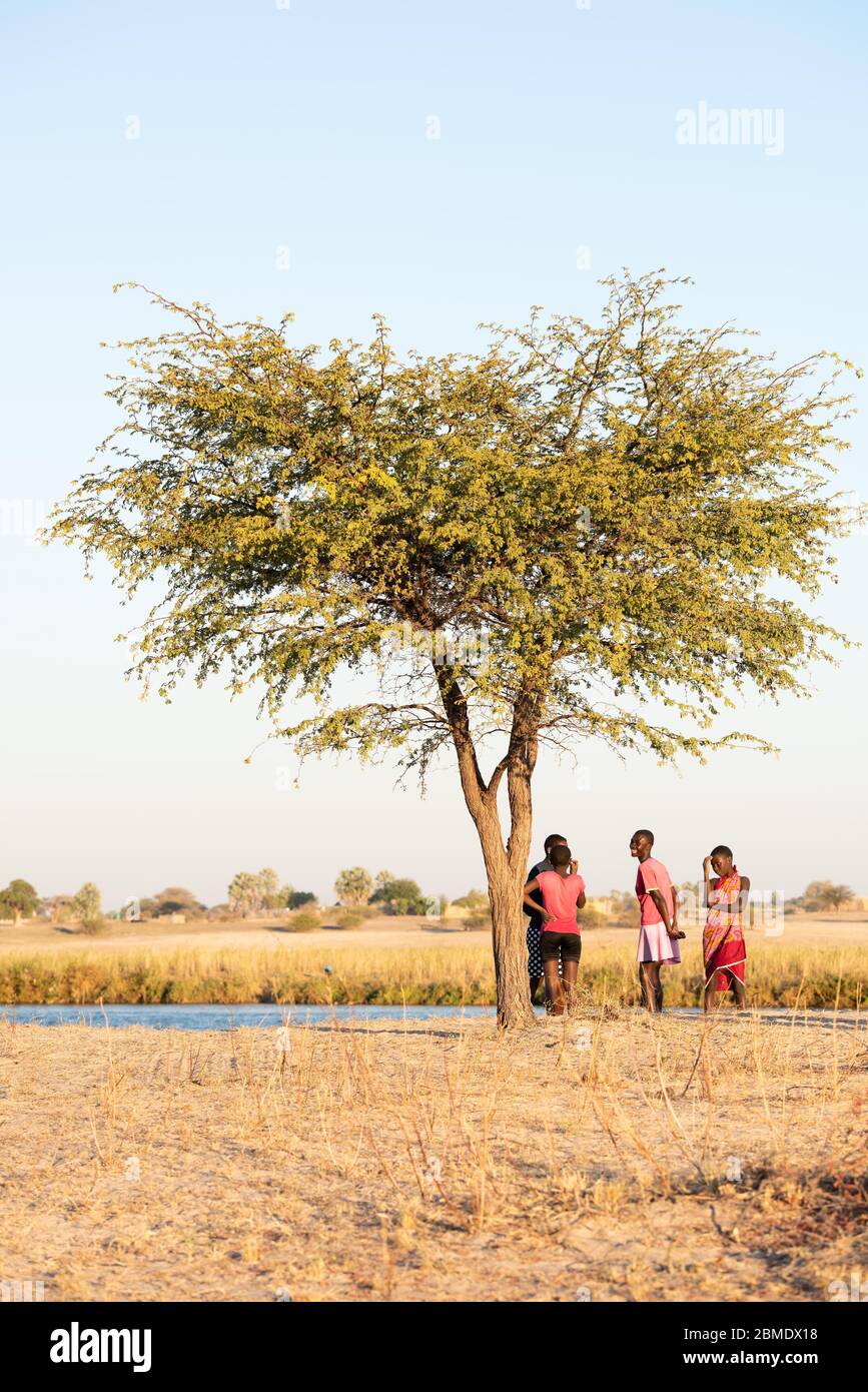 4 jolies filles africaines, adolescentes, debout près d'un arbre, riant et vêtues de vêtements colorés, en Angola, en Afrique. Banque D'Images