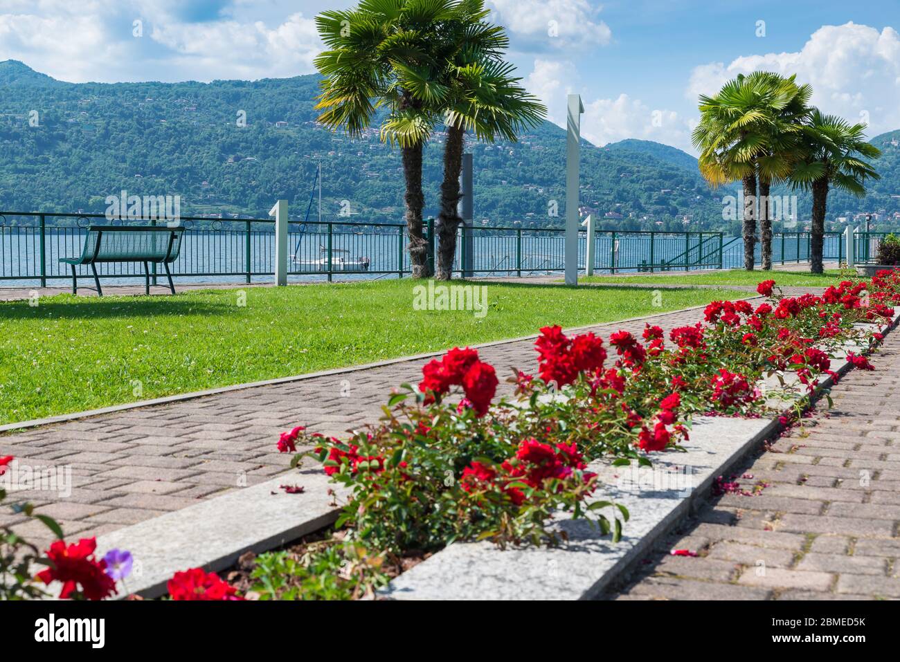 Promenade du lac avec fleurs rouges, lac majeur, Italie Banque D'Images
