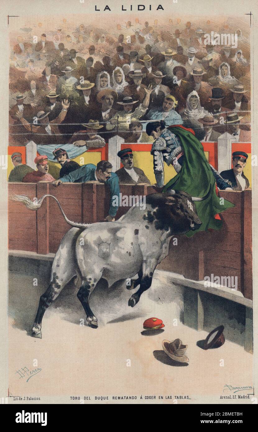 La lidia. Toro del duque rematando a coger en las tacas. Año 1886. Auteur: Daniel Perea y Rojas. Banque D'Images