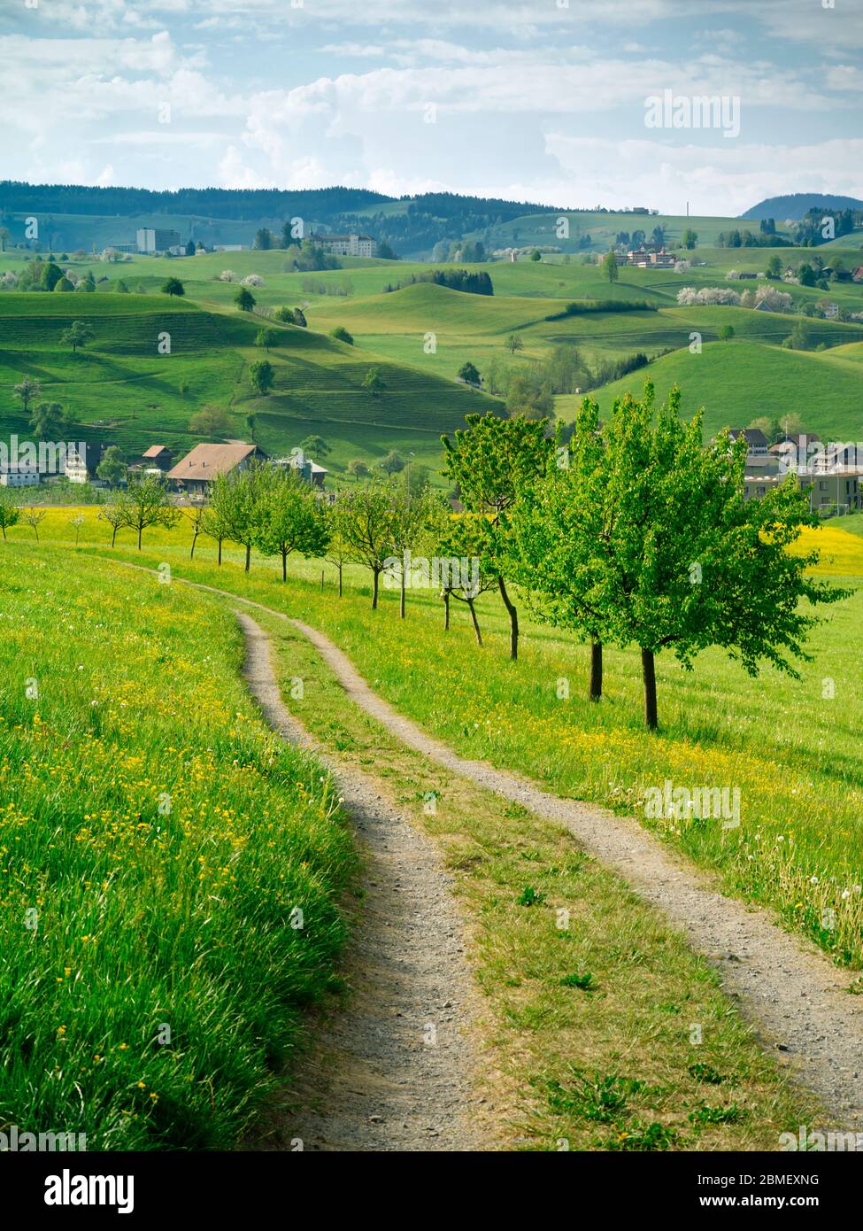 Vue sur les collines et la magnifique campagne de Neuheim dans le canton de Zug, Suisse. Banque D'Images