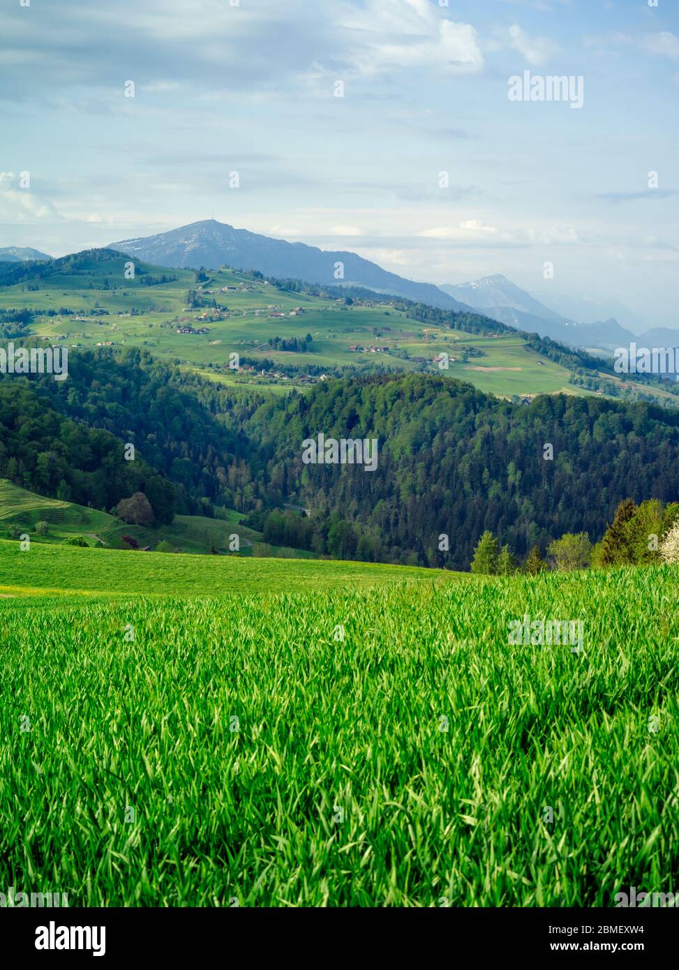 Vue sur les collines et la magnifique campagne de Neuheim dans le canton de Zug, Suisse. Banque D'Images