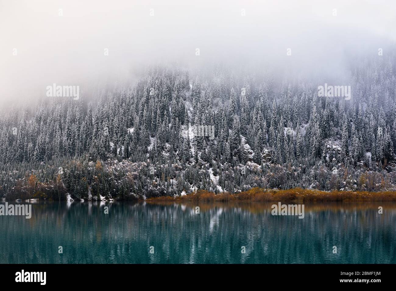 Beau paysage de lac Issyk brumeux avec forêt de sapins avec de la neige au temps de l'automne au Kazakhstan, en Asie centrale Banque D'Images