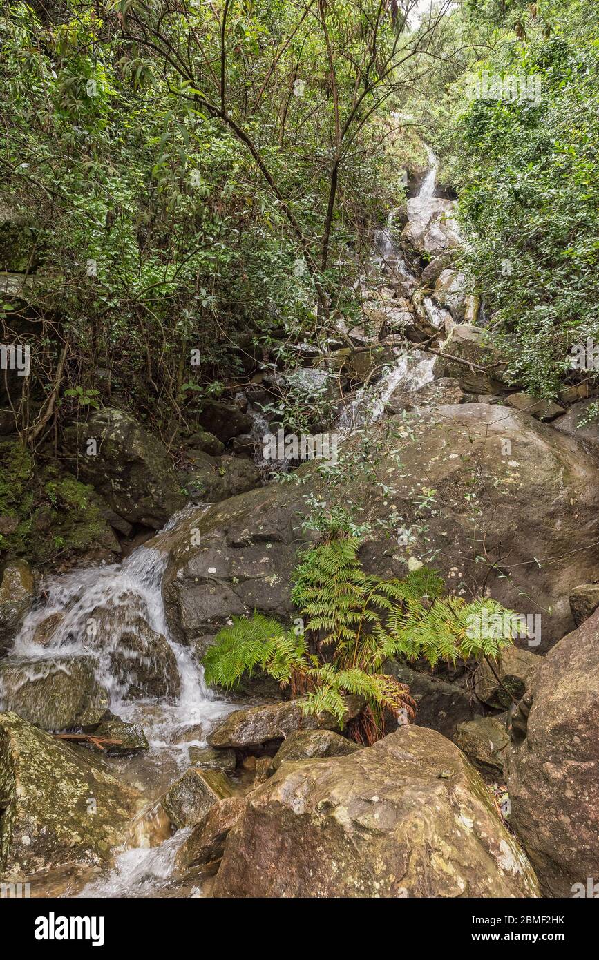 Cascades à Tiger Falls sur la pente de Dooley Hills Banque D'Images