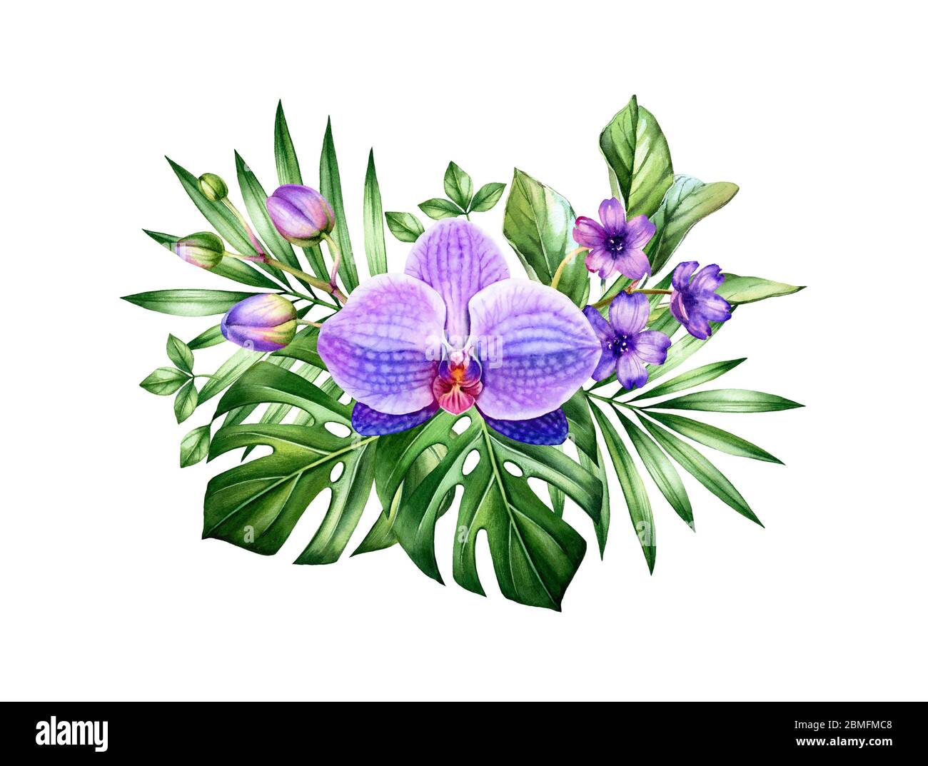 Bouquet d'orchidées aquarelle. Grande fleur pourpre et palmier, feuilles de monstère. Fond tropical floral peint à la main. Illustrations botaniques isolées sur Banque D'Images