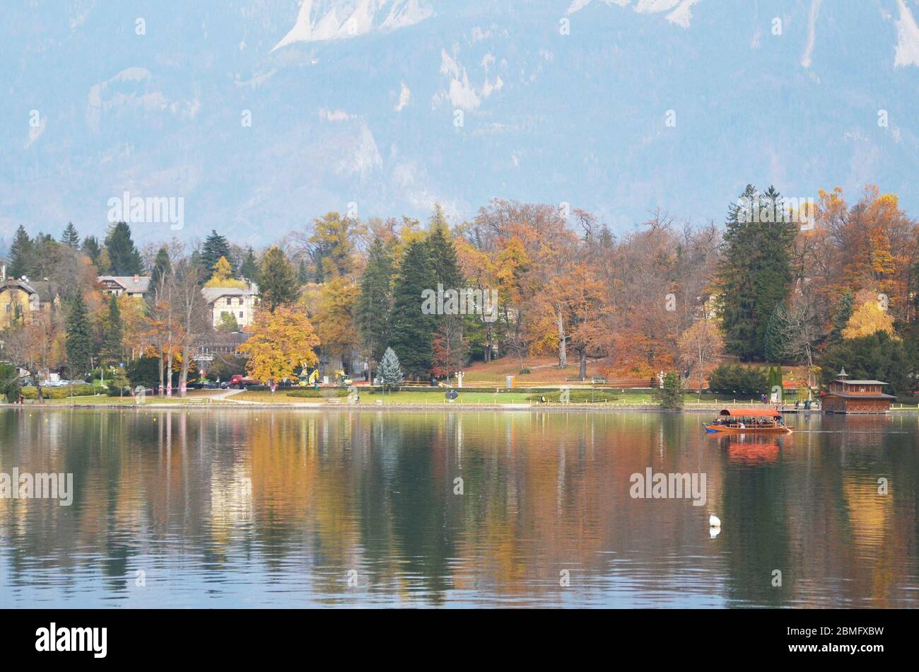 La célèbre île du lac Bled avec une église se trouve au milieu du lac. Un château médiéval perche sur une falaise au-dessus du lac Bled. Banque D'Images