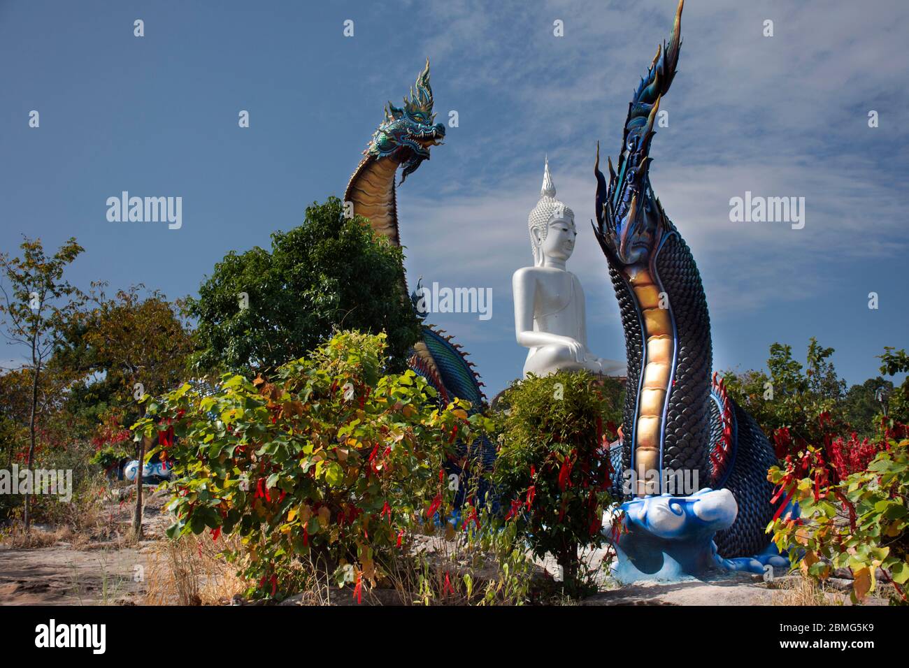 Grande Naka bleu et statue de bouddha blanc à Wat Roi Phra Phutthabat Phu Manorom pour les thaïlandais et les voyageurs étrangers Voyage visite et respect prier Banque D'Images