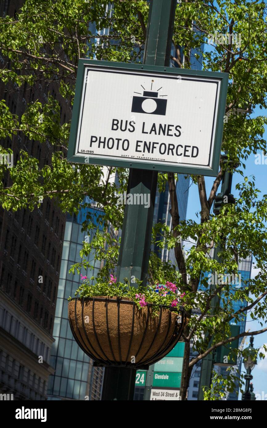 Signalisation, bus Lanes photo Enforced, New York. ÉTATS-UNIS Banque D'Images