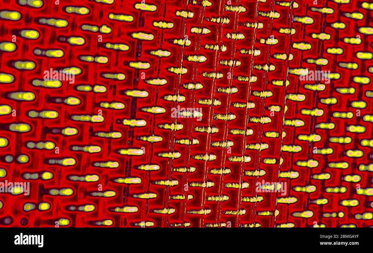 Une magnifique photo rouge, verte et colorée de panier boisé utilisé comme illustration papier peint résumé cartes de fond design décoration texture Banque D'Images