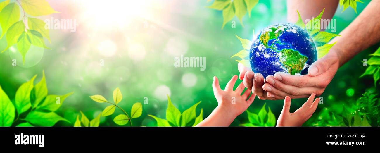 Mains tenant la planète Terre sur le sol dans un environnement vert luxuriant avec la lumière du soleil - le concept de l'environnement - quelques éléments de cette image fournie par la NASA Banque D'Images