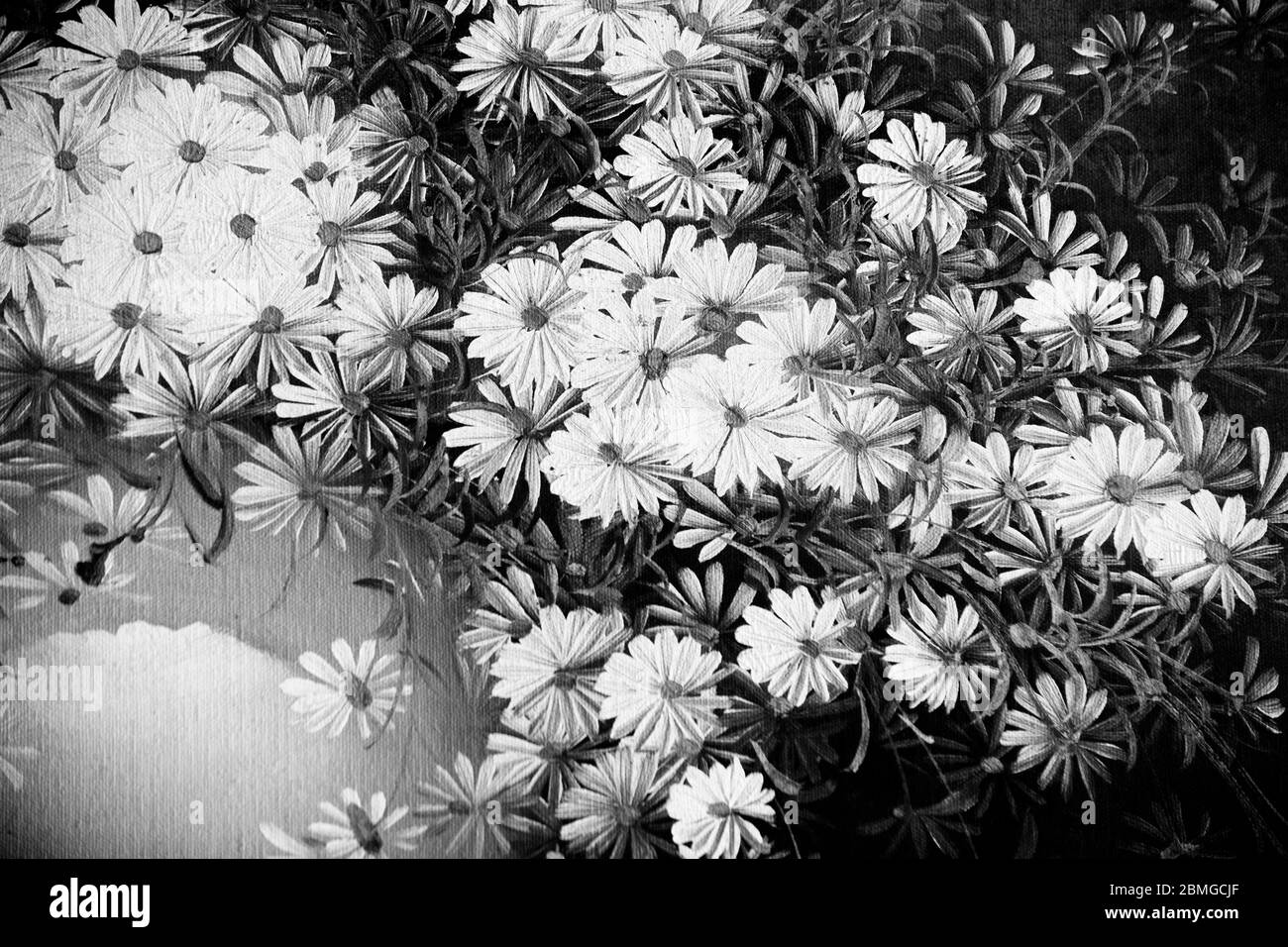 Une magnifique photo noir et blanc de roses dans un vase utilisé comme illustration papier peint résumé cartes de fond design décoration texture Banque D'Images