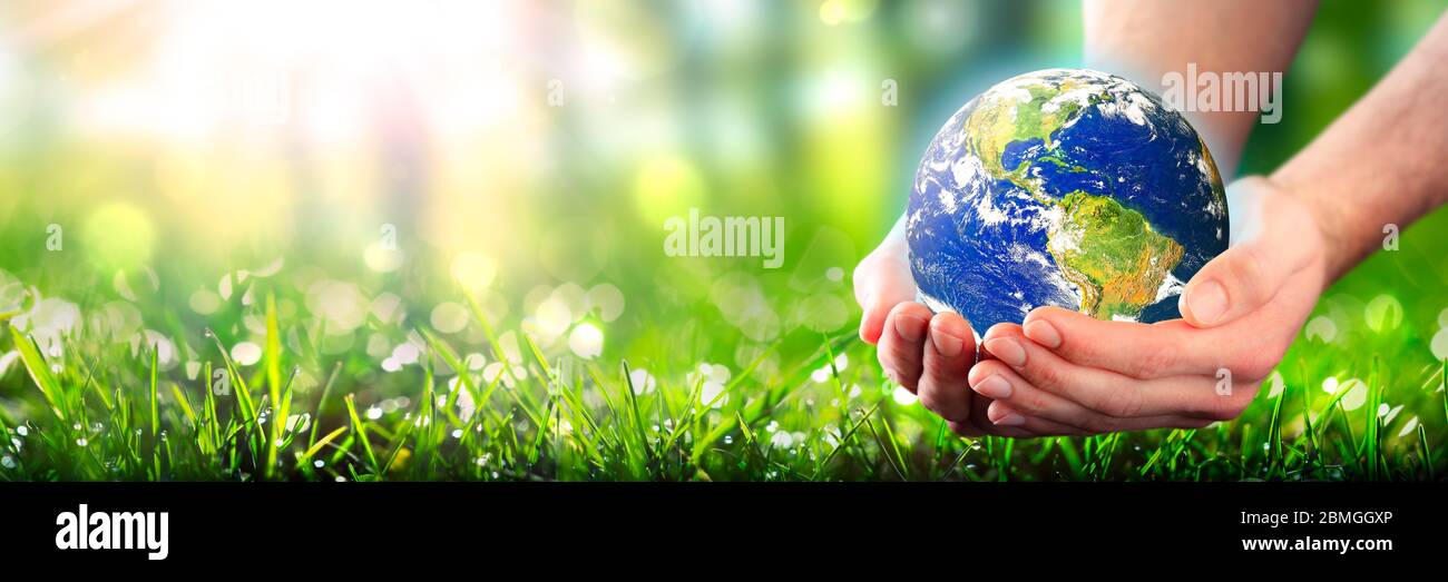 Mains tenant la planète Terre dans un environnement vert luxuriant avec la lumière du soleil - le concept de l'environnement - quelques éléments de cette image fournie par la NASA Banque D'Images