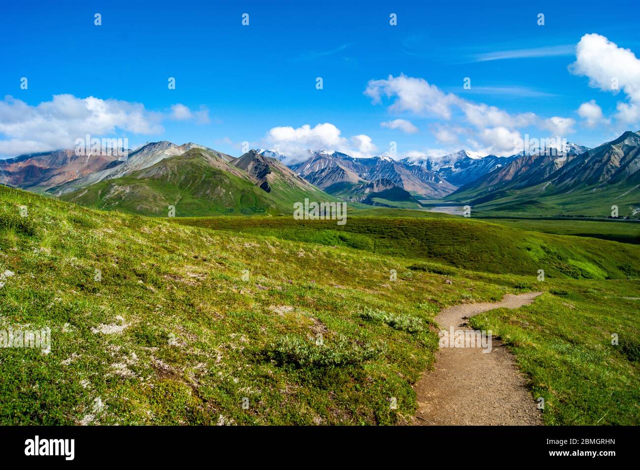 Sun Shining sur la chaîne de montagnes du parc national Denali Banque D'Images