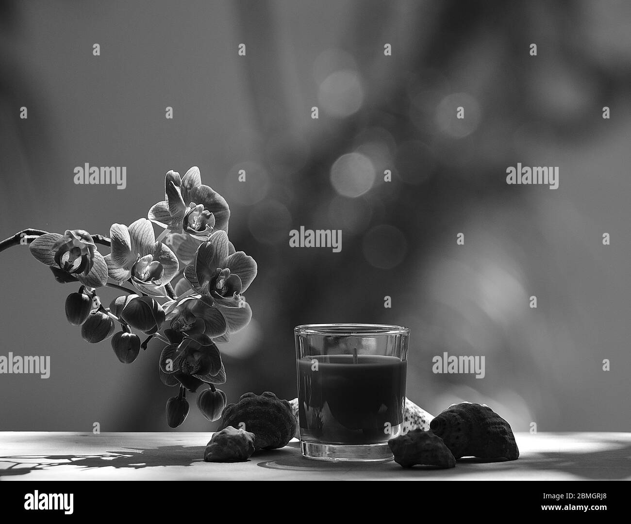 Fleurs d'orchidées, bougie en verre et coquillages avec fond flou Banque D'Images