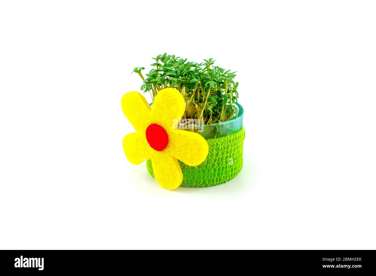 un petit bol dans lequel pousse la cresson de jardin. La cresson est attachée avec un ruban et décorée d'une fleur. Un cadeau fait à la main pour Pâques ou la fête des mères. Banque D'Images