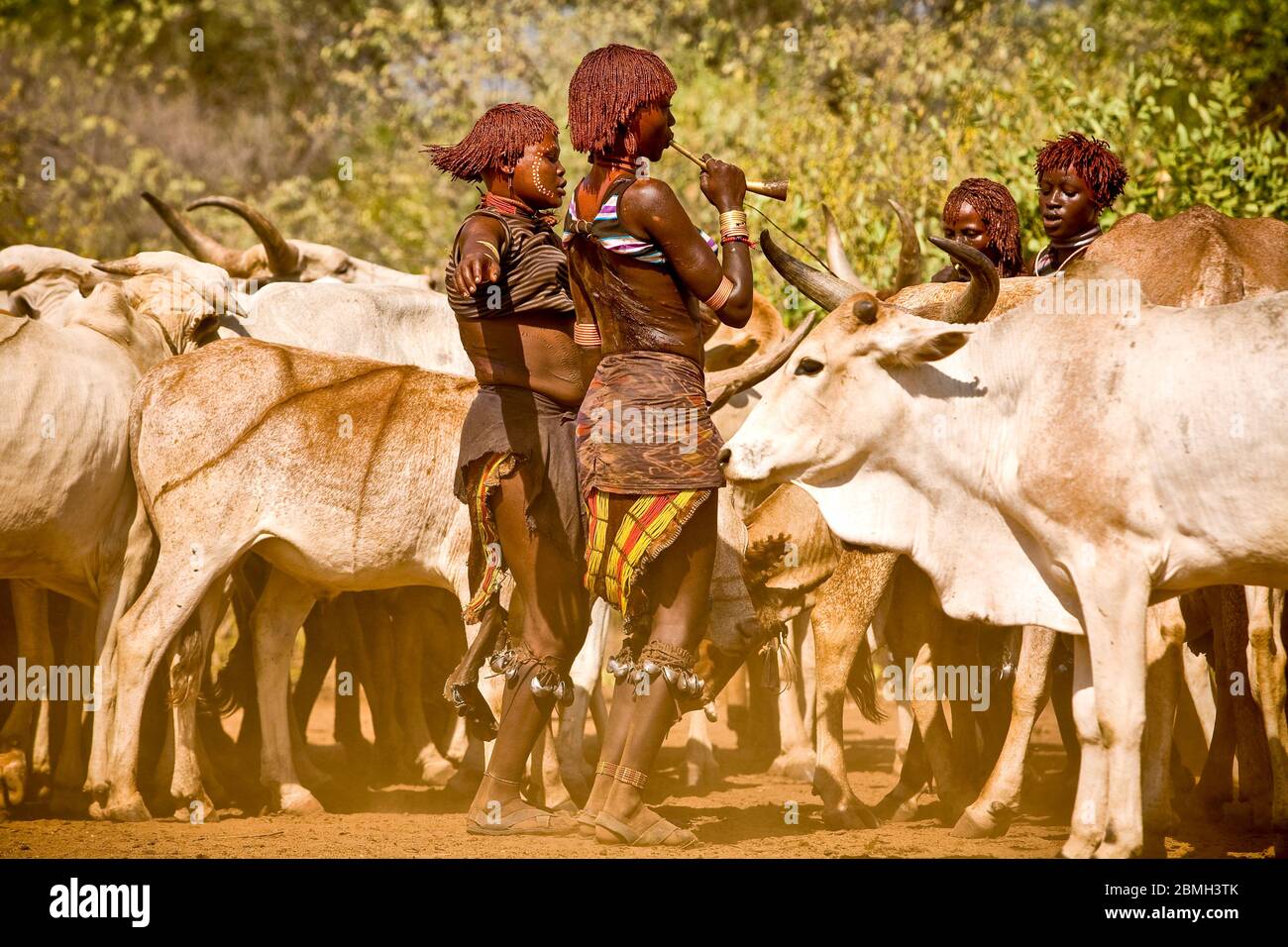 Les femmes Hamer soufflent leurs cornes pour faire le tour des taureaux pour la cérémonie d'initiation de Hamer appelée Bull Jumping. Banque D'Images
