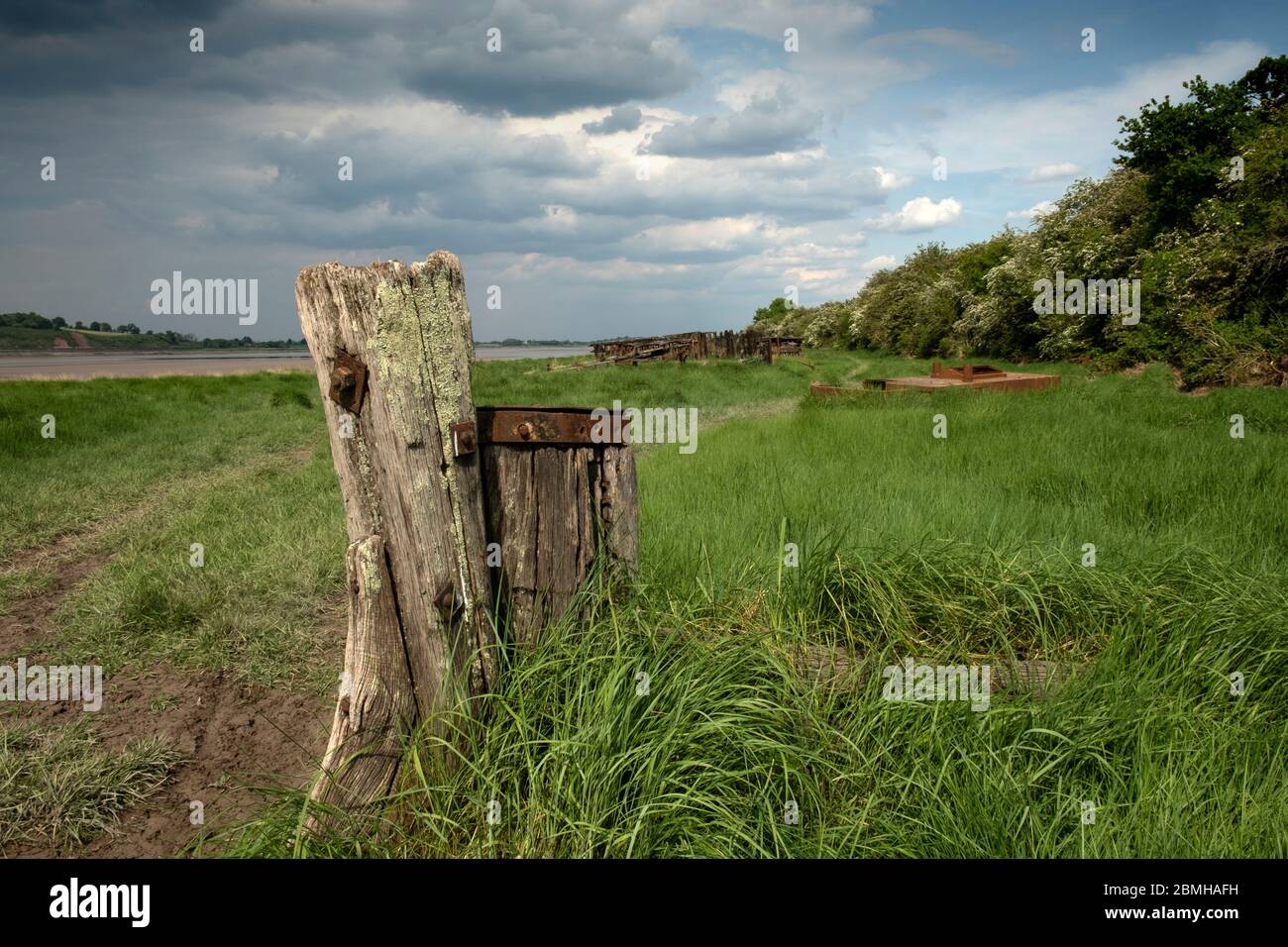 Purton Hullks, cimetière du navire Purton, Gloucestershire, Royaume-Uni, montrant le poteau en bois d'un long navire submergé. Banque D'Images