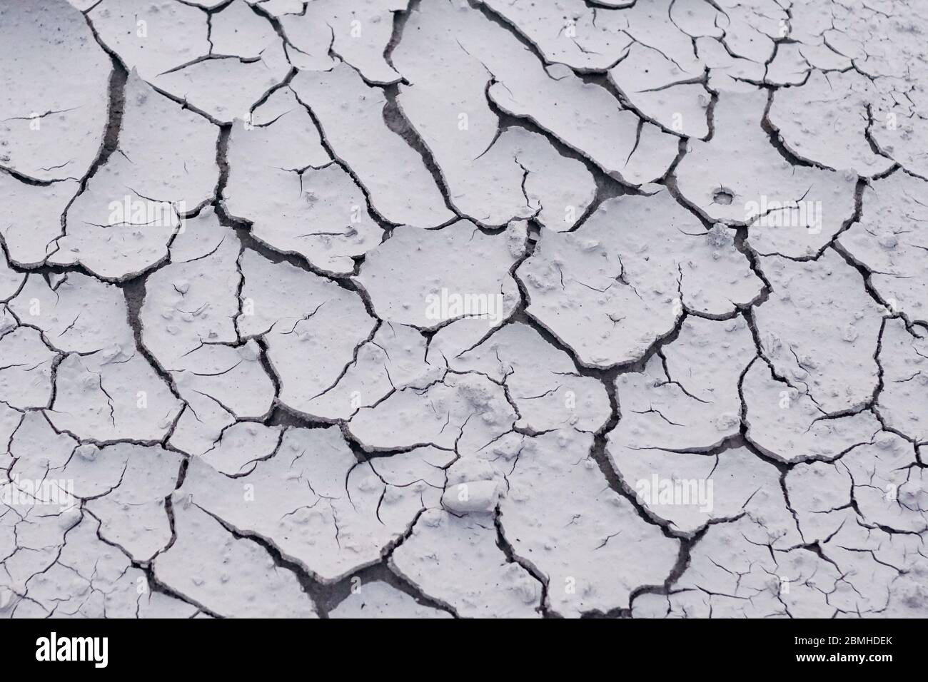 12.2005 sec dans la boue séchée, étang / stream causée par une sécheresse prolongée en raison de l'été, les températures extrêmes Banque D'Images