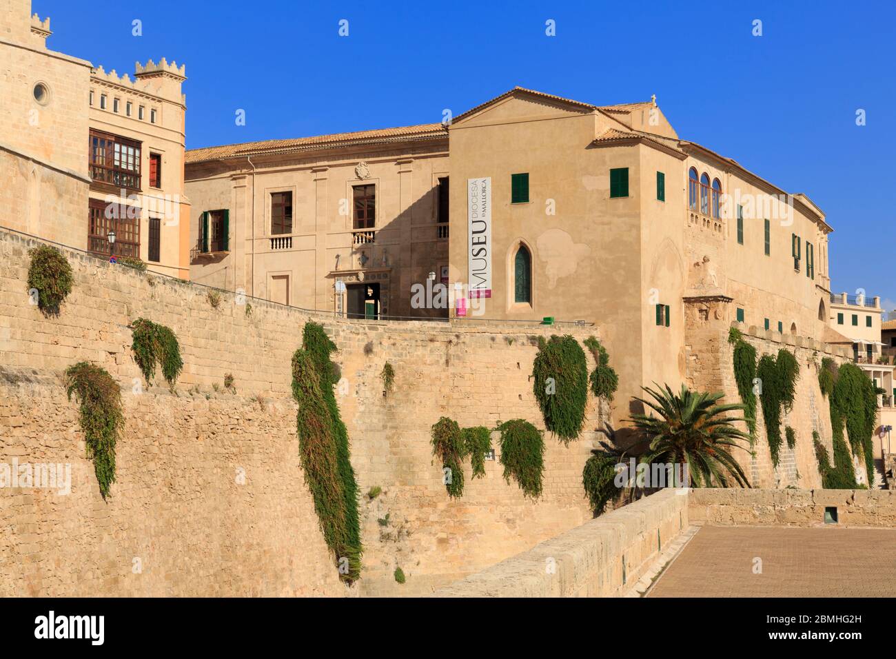 Musée du diocèse, Palma de Majorque, Iles Bélaïques, Espagne, Europe Banque D'Images