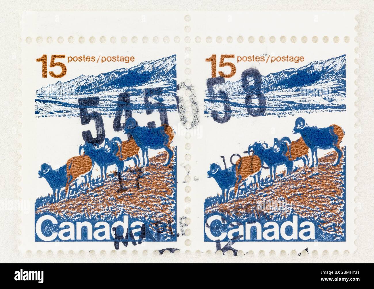 SEATTLE WASHINGTON - 8 mai 2020 : gros plan des timbres du Canada présentant un paysage avec des moutons à la corne. Scott # 595 Type II Banque D'Images