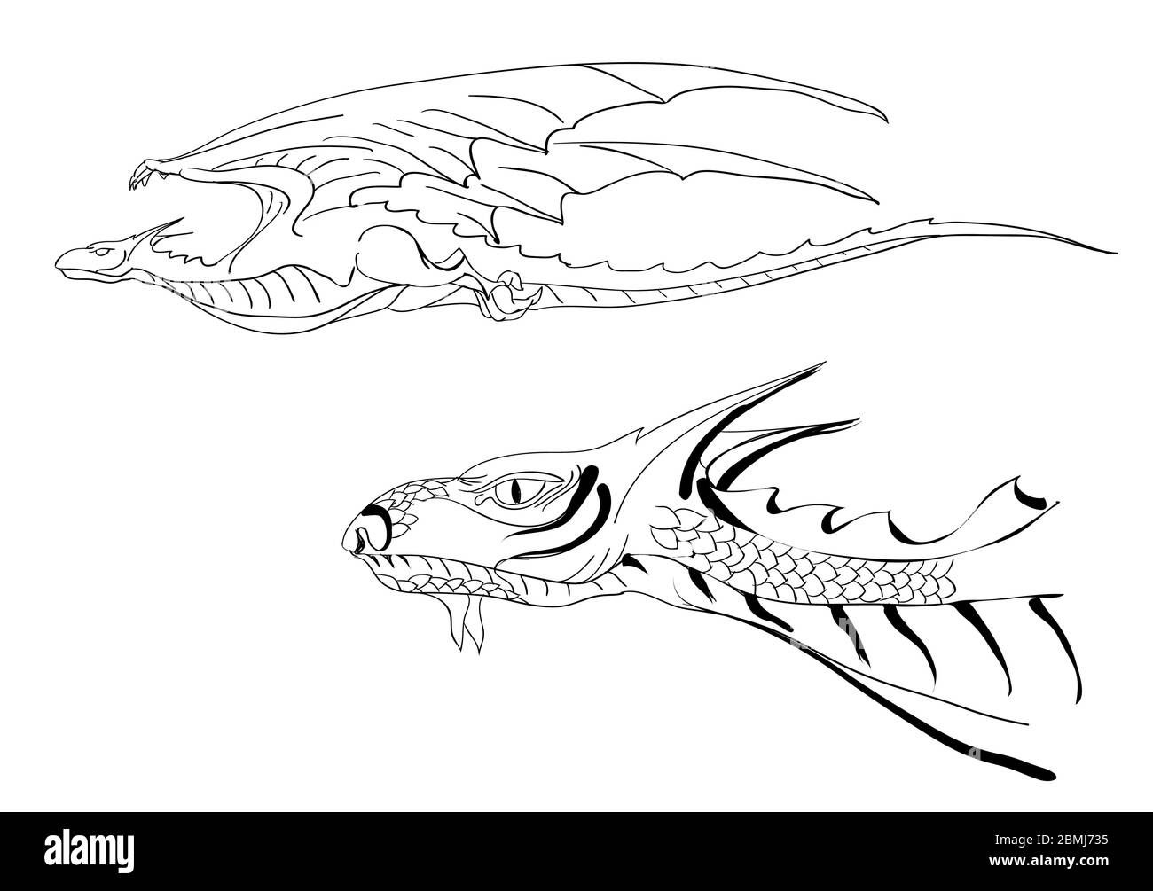 tête de dragon isolée sur fond blanc Illustration de Vecteur