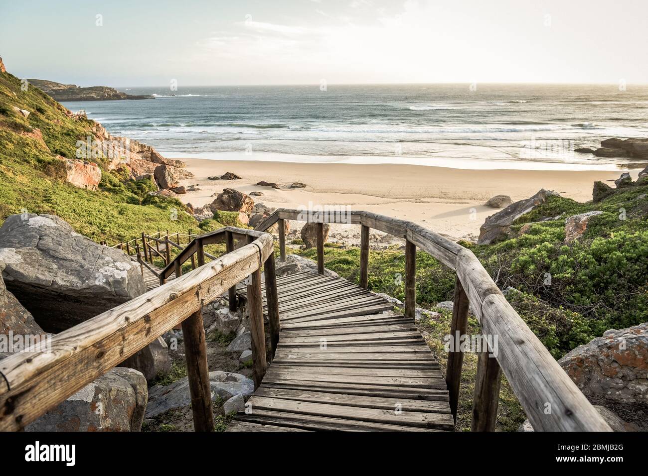 Réserve naturelle de Robberg, baie de Plettenberg, route des jardins, Afrique du Sud Banque D'Images