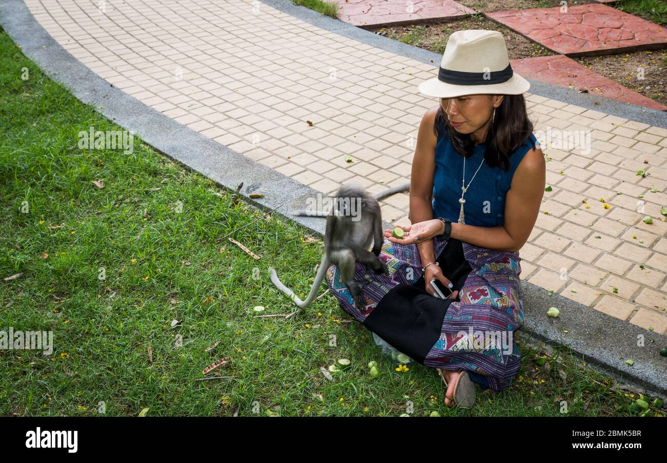Femme à fedora et sarong assis sur le trottoir entouré de singes dusky à Khao Lommuak en Thaïlande Banque D'Images
