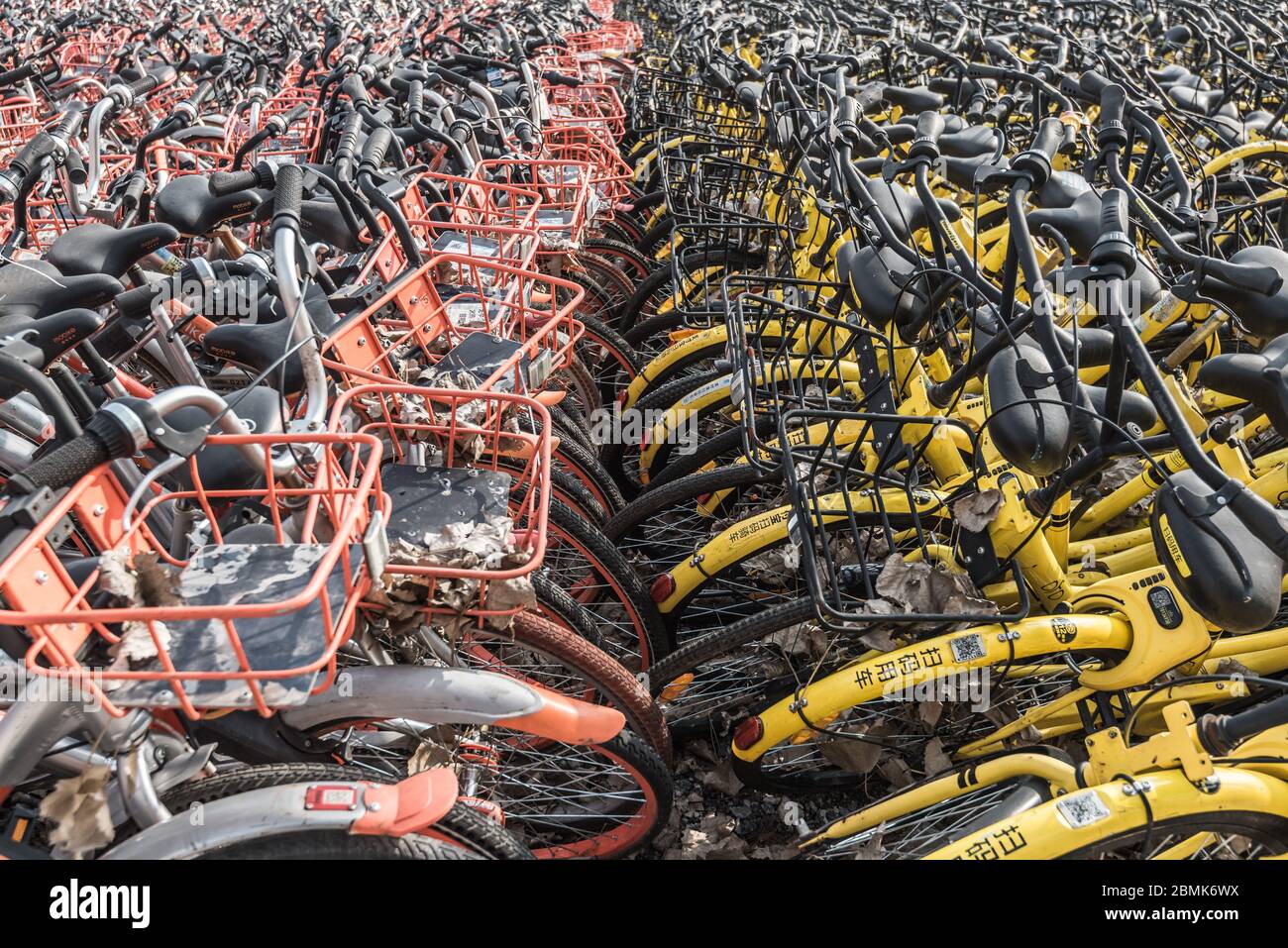 Shanghai, Chine - 26 février 2018 : la pléthore de vélos partagés s'emmêle sur un parking Banque D'Images