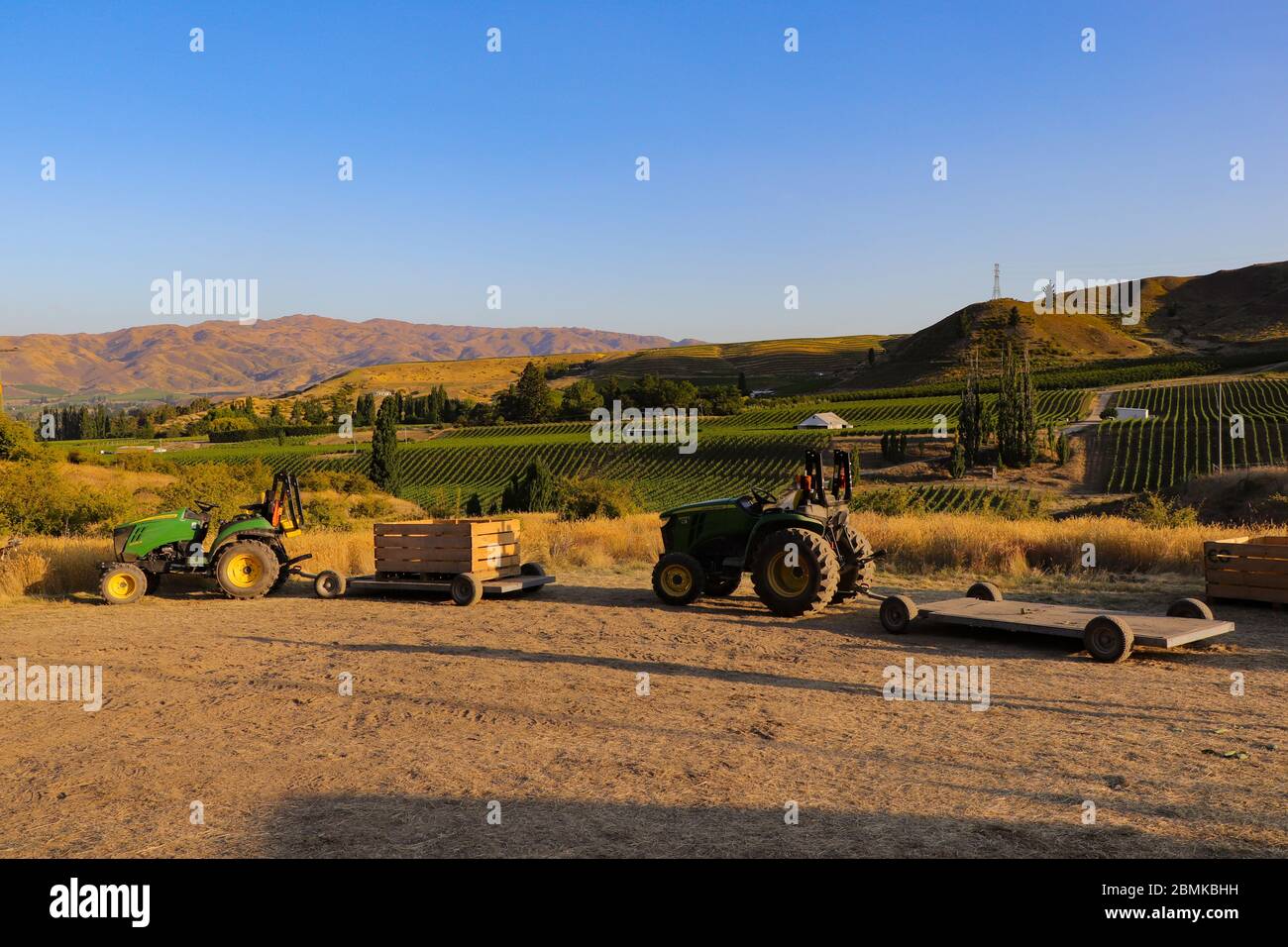 Orchard View en Nouvelle-Zélande, environnement de cueillette des cerises, tracteur, travaux agricoles, Nouvelle-Zélande Banque D'Images