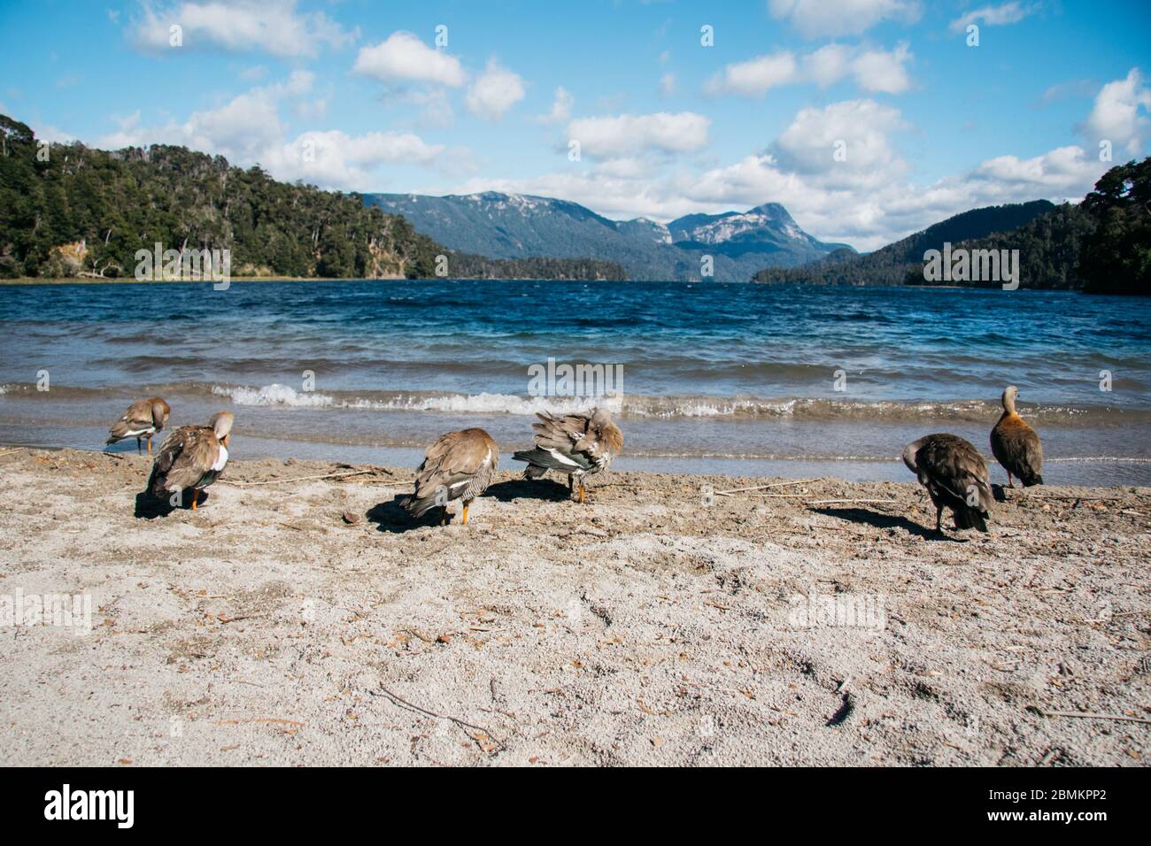 Lago Falkner, Bariloche, Patagonie, Argentine Banque D'Images