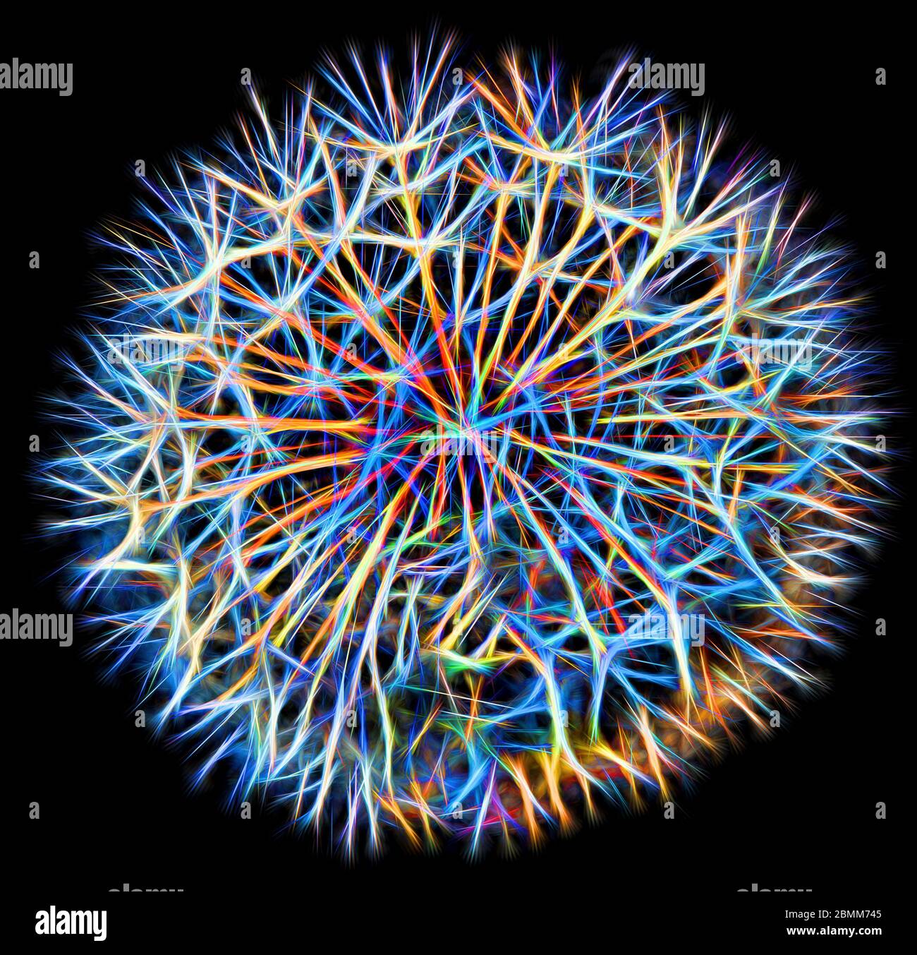 Gros plan coloré d'une tête de Dandelion sous forme abstraite Banque D'Images