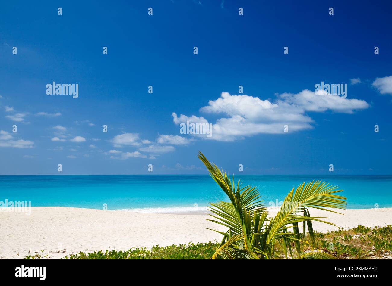 La plage des caraïbes est parfaite à Antigua. Banque D'Images