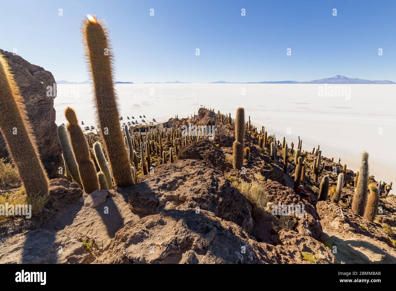 Île d'Incahuasi (île de Cactus) située sur Salar de Uyuni, la plus grande surface de sel au monde, en Bolivie Banque D'Images