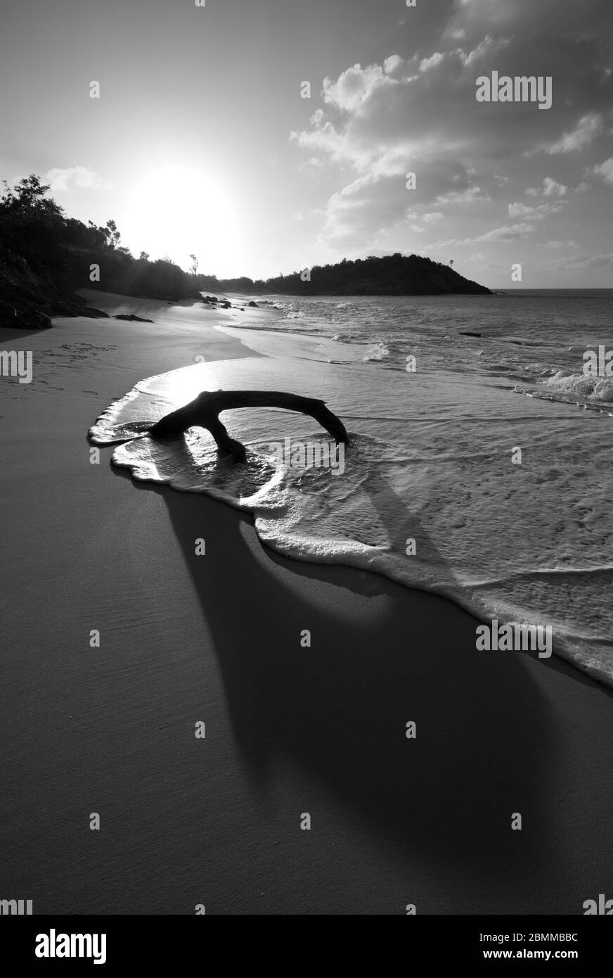 Un morceau de bois de grève incrusté dans le sable d'une plage d'Antigua. Tourné contre le coucher du soleil en noir et blanc. Banque D'Images