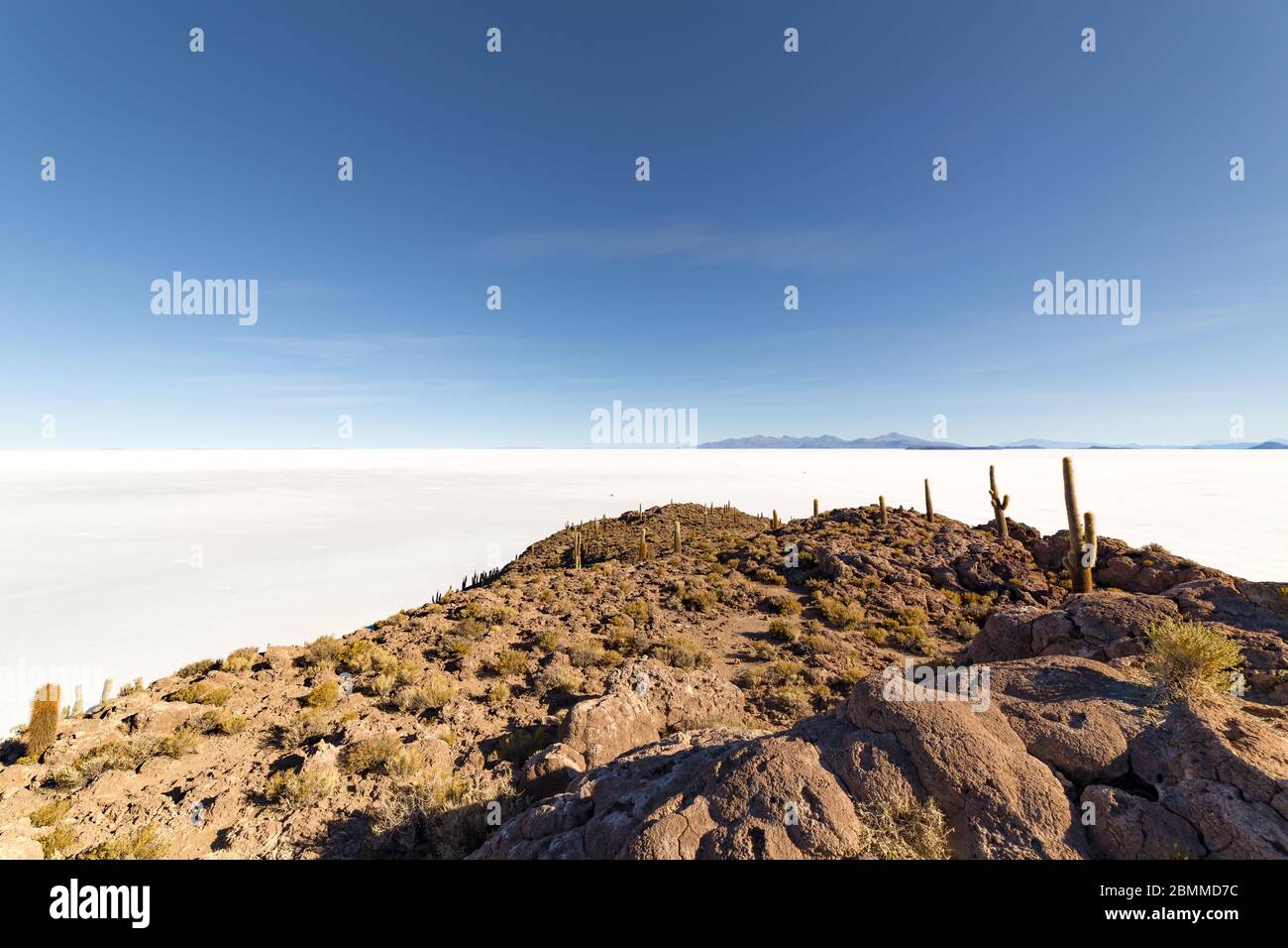 Île d'Incahuasi (île de Cactus) située sur Salar de Uyuni, la plus grande surface de sel au monde, en Bolivie Banque D'Images