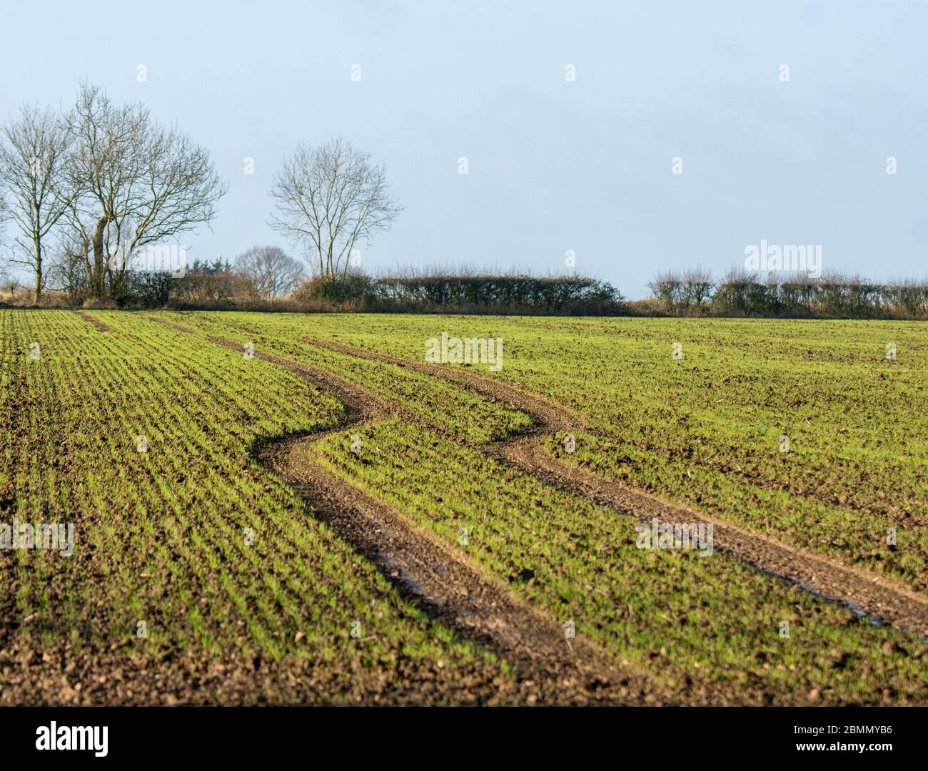 Champ arable avec tracteur traversant Banque D'Images