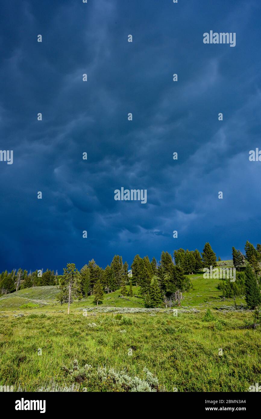 Des nuages orageux se roulent au-dessus de la colline de Yellowstone en été Banque D'Images