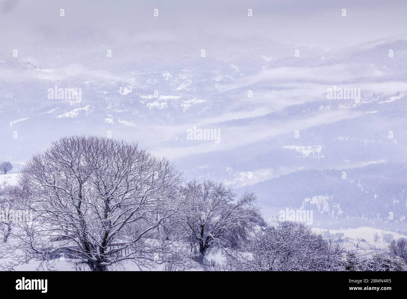 Paysage de neige dans le centre de la Grèce, près de la ville de Karpenisi, dans la région d'Evritania, Grèce. Banque D'Images