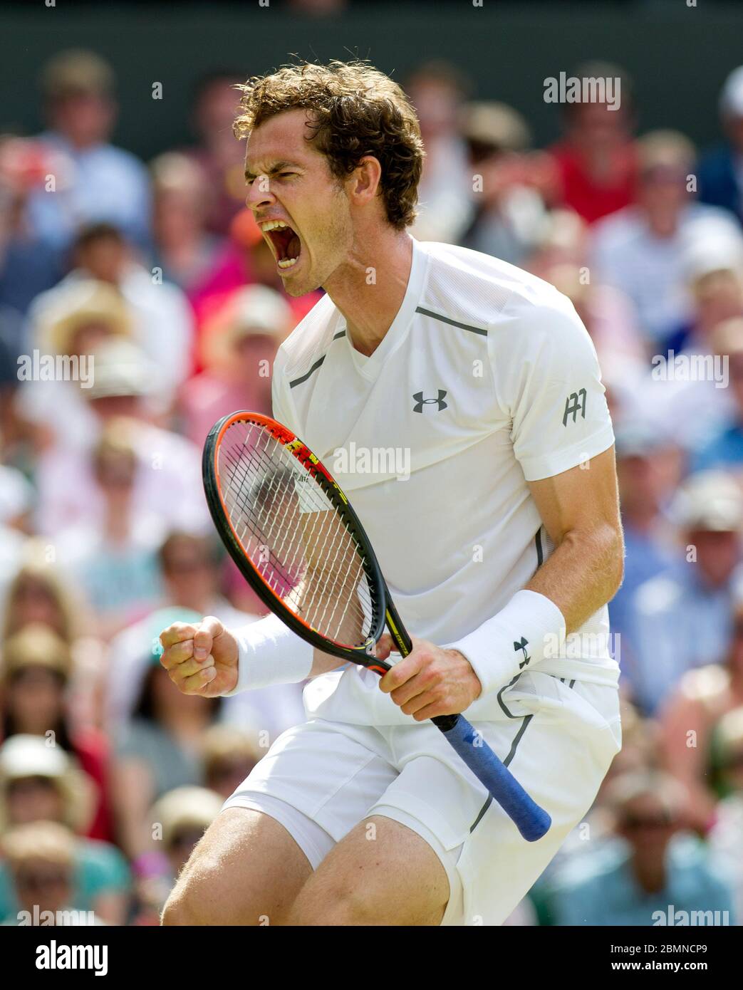 6 juillet 2015, Wimbledon Championships, Londres. Hommes célibataires quatrième tour, Center court, Andy Murray (GBR) fête contre Ivo Karlovic, (Cro) Banque D'Images