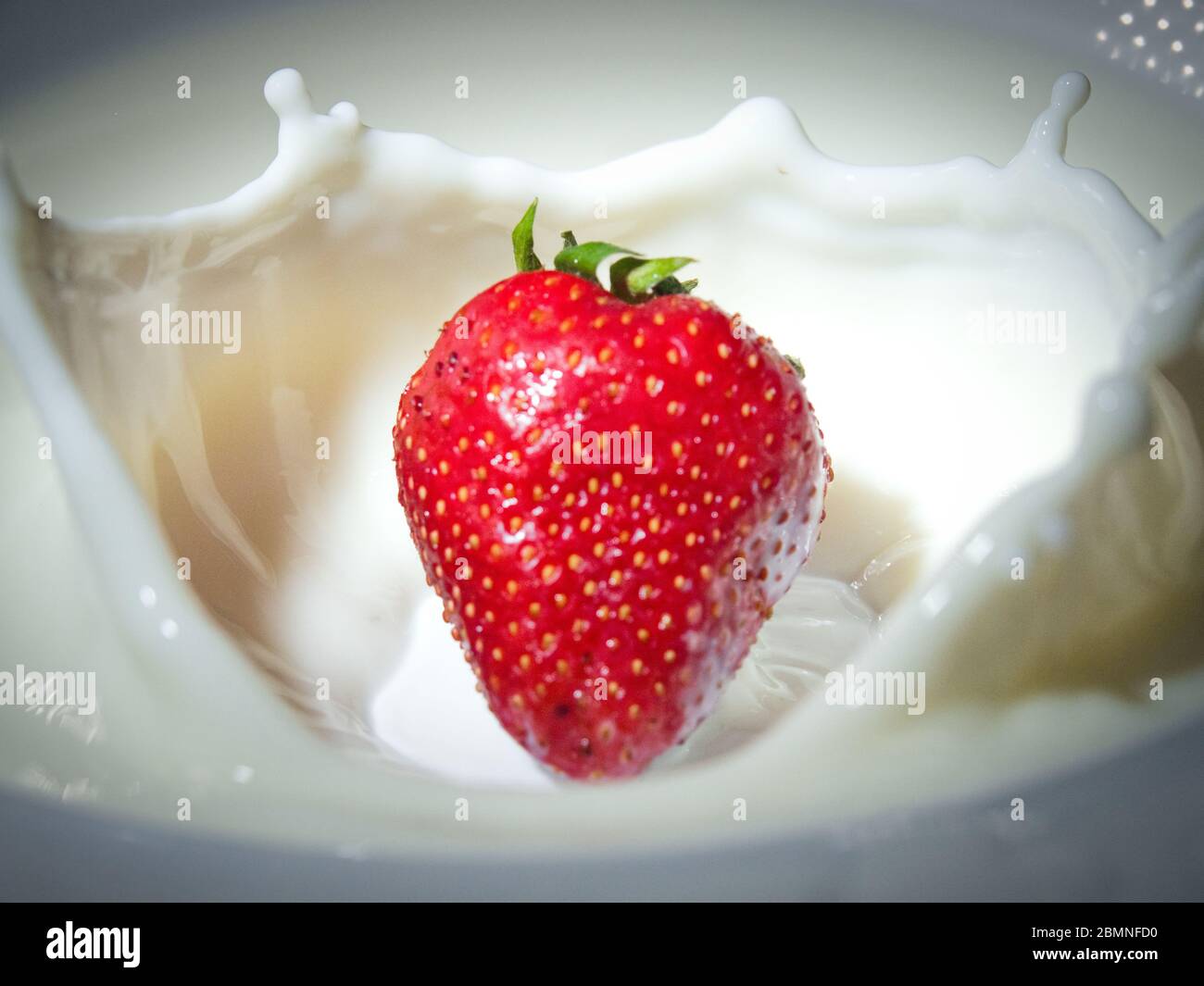 Une délicieuse fraise qui éclabousse dans une assiette de lait Banque D'Images