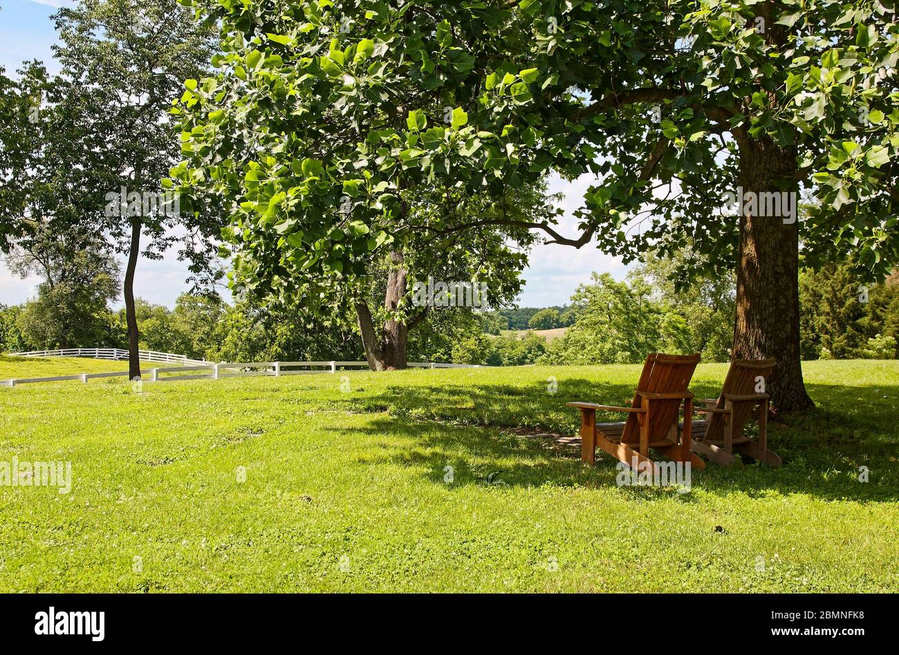 Scène paisible, herbe verte, arbres, clôtures blanches, deux chaises Adirondack, ombre d'arbre, Kentucky; printemps Banque D'Images