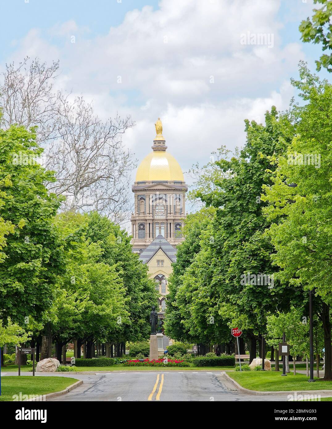 Université de notre Dame ; Bâtiment principal 1879, légendaire Golden Dome, statue de la mère bienheureuse, au sommet, école, éducation, université catholique, arbres, Indiana ; Banque D'Images