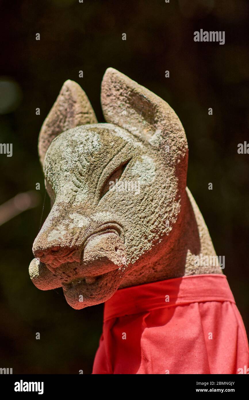 Statue d'un chaton, dieu renard roux shinto japonais, dans le sanctuaire de shinto Fushimi Inari à Kyoto, Japon Banque D'Images