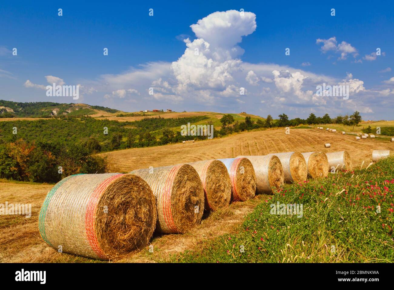 Près de Montefoscoli, province de Pise, Toscane, Italie. Terres agricoles et balles de foin. Nuage Cumulonimbus. Banque D'Images
