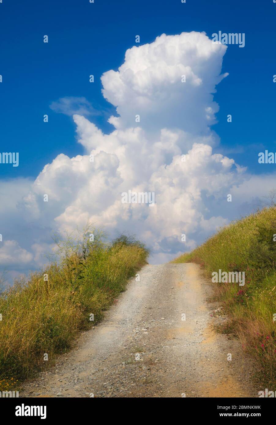Près de Montefoscoli, province de Pise, Toscane, Italie. Piste de saleté. Nuage Cumulonimbus. Banque D'Images