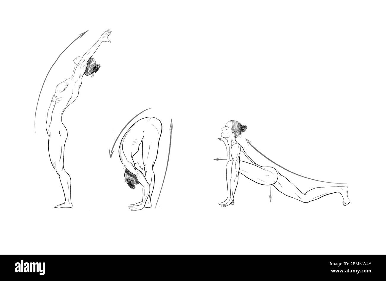 Illustration des poses de yoga (asanas) Banque D'Images