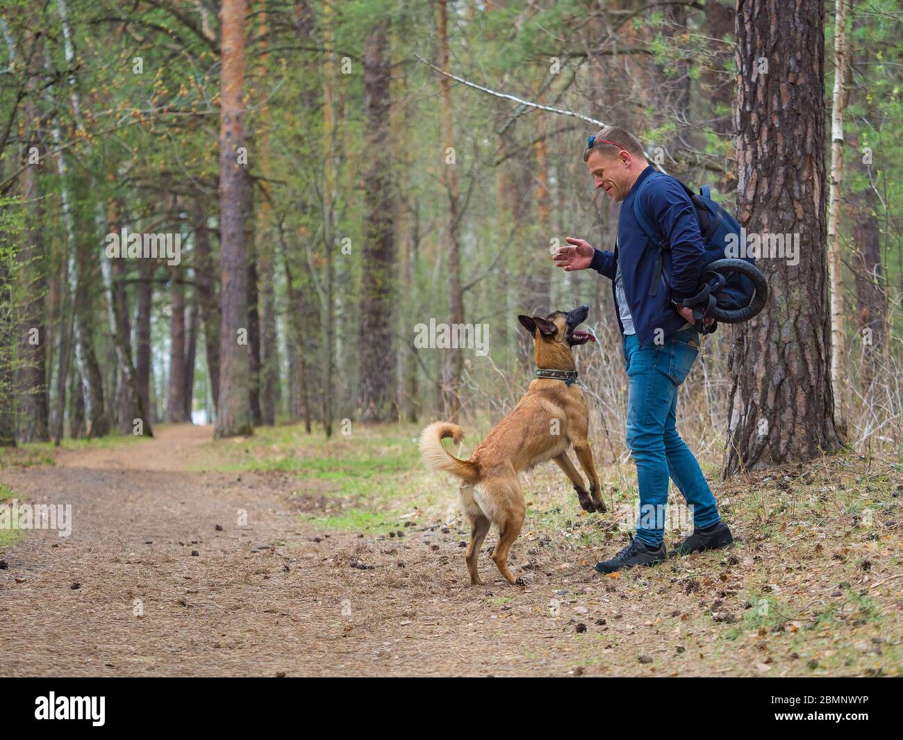 Un homme joue dans la forêt avec son chien Malinois. La race du chien se  distingue par un esprit vif et une énergie infinie Photo Stock - Alamy