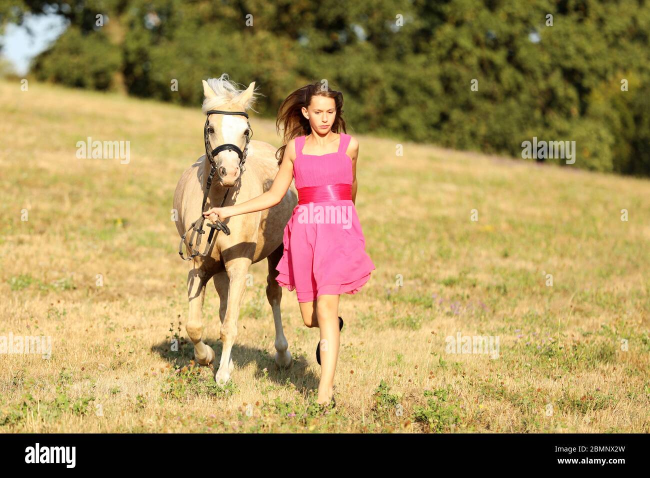 Jeune fille en robe rose courir avec poney à travers le pré dans l'après-midi ensoleillé d'été Banque D'Images